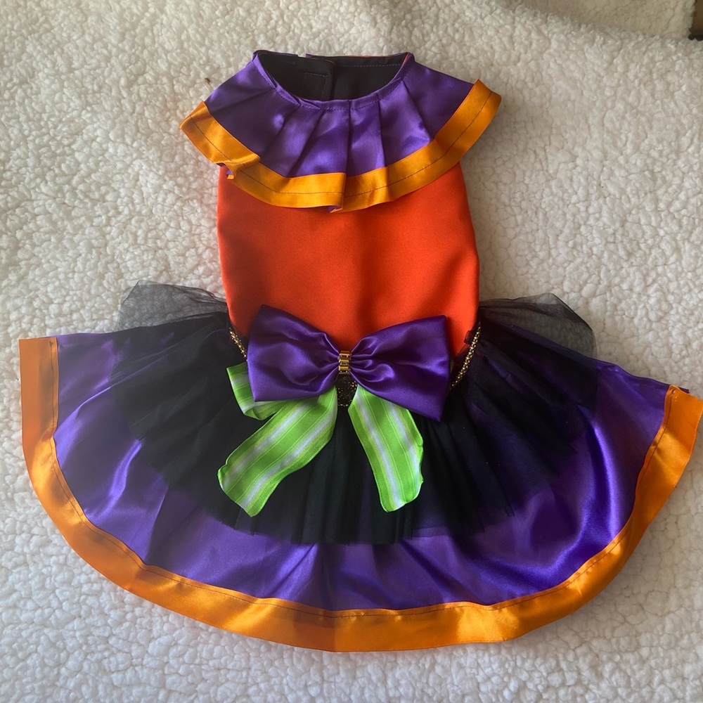 Pet Halloween costume